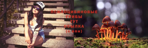 дурь Заводоуковск