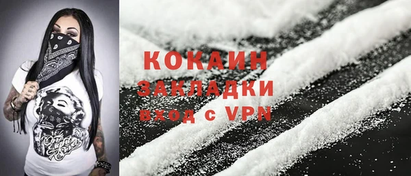 дурь Заводоуковск