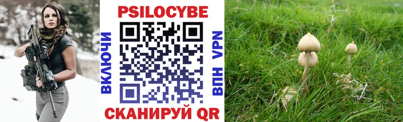 Купить  Колпашево  Псилоцибиновые грибы Magic Shrooms 